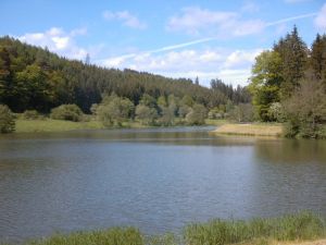 Bild 8: Omas Häuschen - Urlaub mit Hund - Eifel