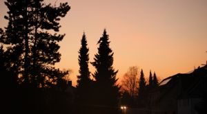 Blick vom Balkon Richtung Öhningen