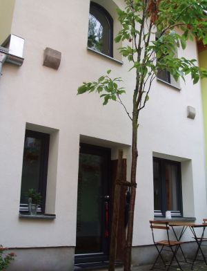 Bild 9: Ferienwohnung Villa Konstanze in der Konstanzer Altstadt