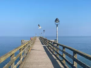 Bild 1: Urlaub mit Hund an der Ostsee