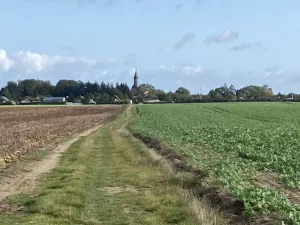 Bild 21: Urlaub mit Hund an der Ostsee