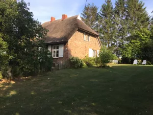 Bild 7: Urlaub mit Hund an der Ostsee