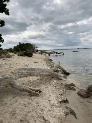Bild 20: Urlaub mit Hund an der Ostsee
