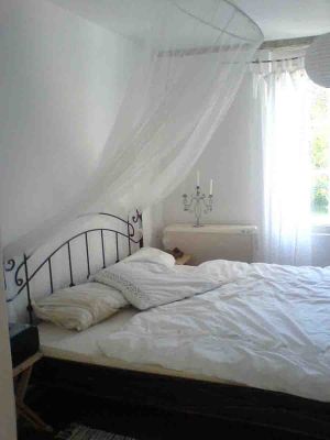 Bild 11: Urlaub mit Hund an der Ostsee