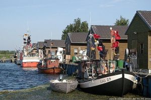 Bild 3: 2 Doppelhaushälften unter Reet für bis zu 12 Personen