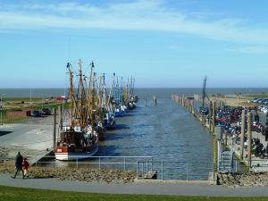 Bild 21: Ferienwohnung mit 2 Schlafzimmern am Seedeich