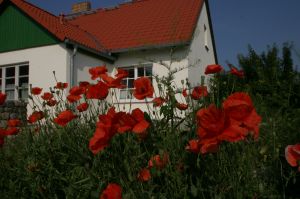 Bild 16: Ferienhaus Beestland am Rande der Mecklenburgischen Schweiz für 6 Personen