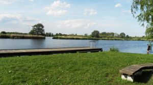Bild 6: Ferienwohnung in Sophienhof an der Peene, dem Amazonas des Nordens