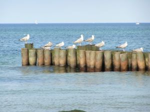 Bild 17: Ferienwohnung Nr. 3 Parkstraße 2