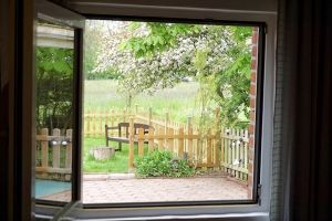 Terasse, Hundewiese, Freisitz und Kastanie mit besonderer Beleuchtung