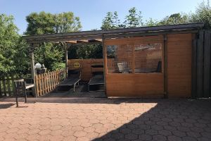 Sturm ist Wind, der es eilig hat...