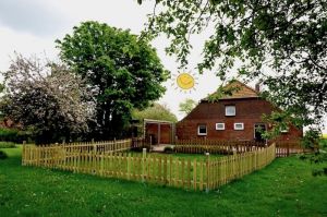 Hunde, die nicht weglaufen, können sich auch außerhalb bewegen