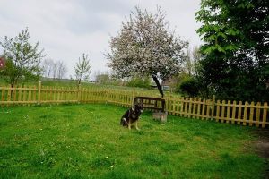 wirf endlich den Ball....