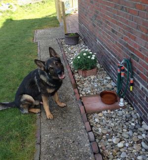 frisches Wasser im Aussenbereich