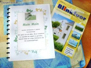 perfekte Informationen