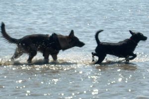 Thimo sucht Freundin