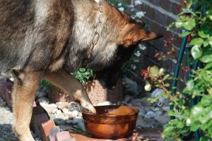 okay, ist kühl genug