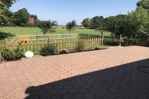 Hunde können nicht weglaufen...