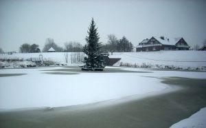 schwimmender Tannenbaum, einfach toll