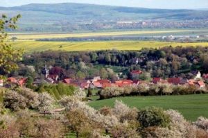 Bild 10: Ferienwohnung OG "Haus-Feldmühle" in Nordthüringen, Kyffhäuserregion