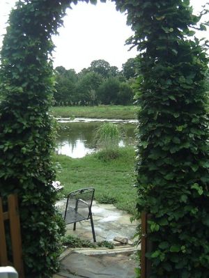 Bild 8: Ferienwohnung- Daut- Recke Münsterland/Tecklenburger Land/Nähe Teutob. Wald