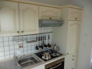 Küche auch mit Dunstabzug und Kühlschrank