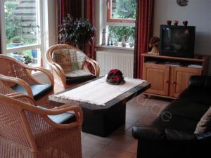 Bild 4: Haus Birgit mit eingezäunten Garten am Ijsselmeer für Urlaub mit dem Hund