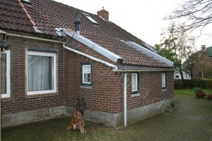 Ferienhaus in Noardeast-Fryslân: Ferienhaus Elke mit abgeschlossenen Garten für Urlaub mit dem Hund