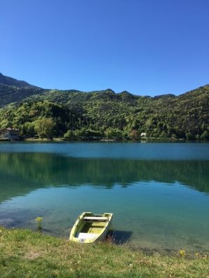 Bild 19: Villa Nini mit eingez. Garten, Pool am Ledrosee für Urlaub mit dem Hund