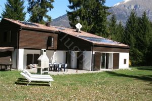 Ferienhaus Villa NINI mit eingezäunten GArten und privatem Swimmingpool Hunde willkommen
