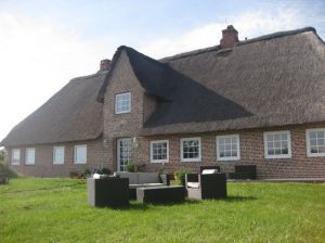 großer Gartenbereich