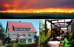 Bild: Landhaus Pension Elisabeth in Meersburg - umgeben von Wein und Obstbäumen