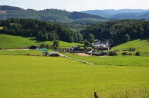 Bild 22: Ferienwohnung Waldblick direkt am Waldrand im Sauerland