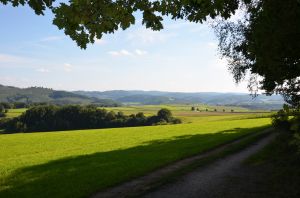 Bild 23: Ferienwohnung Waldblick direkt am Waldrand im Sauerland