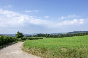 Bild 25: Ferienwohnung Waldblick direkt am Waldrand im Sauerland