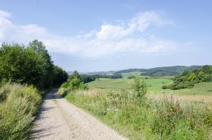 Bild 29: Ferienwohnung Waldblick direkt am Waldrand im Sauerland