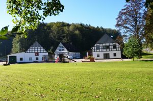 Bild 17: Ferienwohnung Waldblick direkt am Waldrand im Sauerland