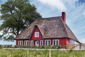 Bild: Ferienhaus "Uthlande", Urlaub mit Hund, - 6 P, Zaun, Nordsee