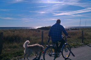 über den gut ausgebauten Fuß- und Fahrradweg nach Dahme - immer an der Ostsee entlang