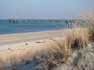 Strand mit Seebrücke in Rerik