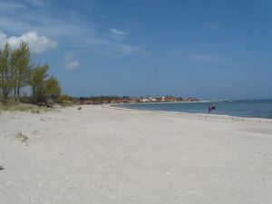 zum Vogelschutzgebiet Der Hohwachter Strand auf dem Weg zum Vogelschutzgebiet "Sehlendorfer Binnensee".