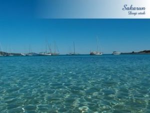 Bild 9: Maxim Bozava Dugi Otok