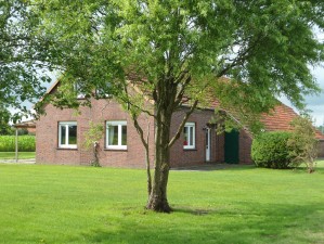 Bild: Modernes Ferienhaus in Alleinlage an der Nordsee