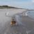 Galeriebild 1