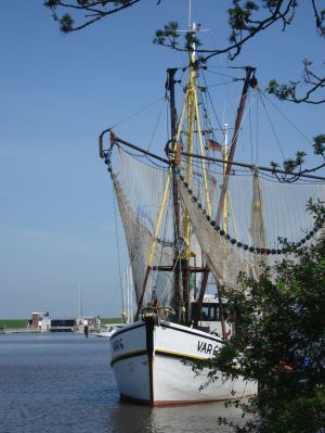 Ein Granatfischer am Hafen