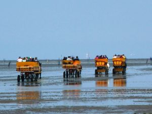 Bild 13: Ferienwohnung Elbschiffer in Cuxhaven mit Meerblick 5.Stock
