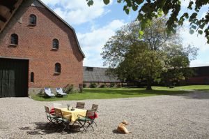 Bild 4: Kutscherhaus Gut Ohrfeld-Einzellage,Meerblick vom Hof, Sauna und Kaminofen