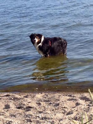 Bild 39: Rügen Träumen, die Seele baumeln lassen, die Ruhe und die Stille genießen