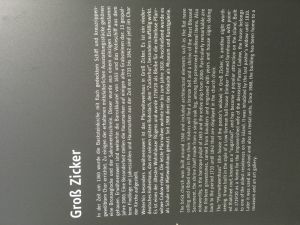 Bild 40: Rügen Träumen, die Seele baumeln lassen, die Ruhe und die Stille genießen