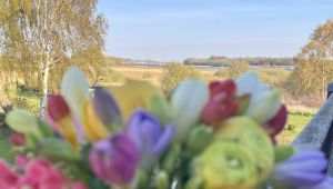 Bild 20: Rügen Träumen, die Seele baumeln lassen, die Ruhe und die Stille genießen